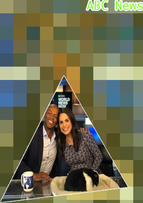 Abc news anchors