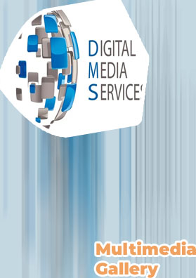 Digital media solutions dms